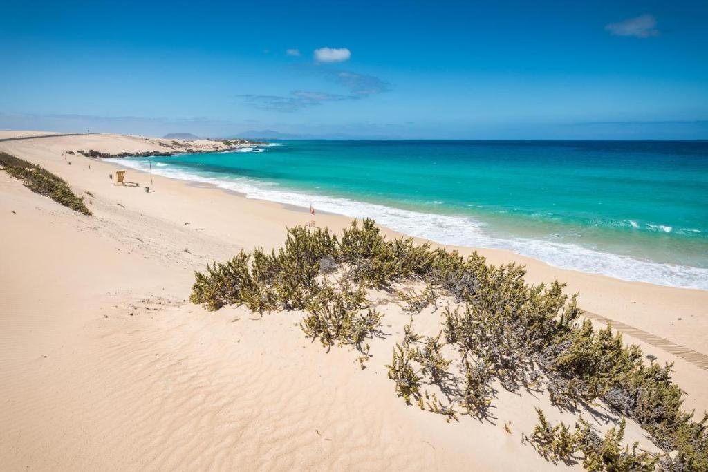 Los Majos Fuerteventura Tarajalejo Exterior photo